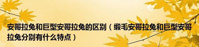 缎毛安哥拉兔的饲养方法（养殖小技巧，打造饱满毛发）