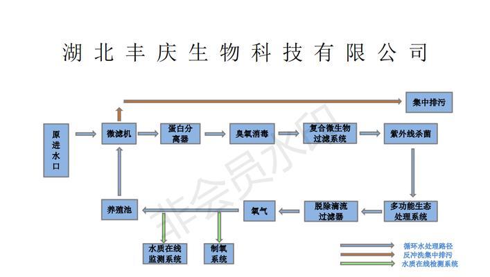 环喉雀饲养全攻略（从入门到精通，让你成为环喉雀饲养专家）