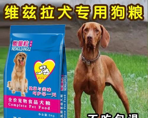 打造健康快乐的维兹拉犬生活（以爱宠为主，合理饲养多关注，让它们健康快乐成长）