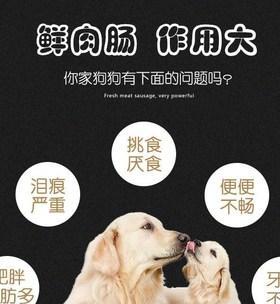 大白熊犬拉稀应该怎么办？（以宠物为主，详解15个段落的解决方法）