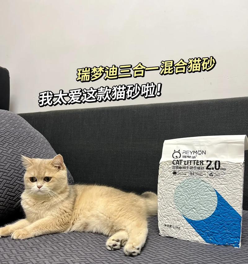 如何避免猫咪指甲卡进猫砂？（让你的猫咪健康又舒适）