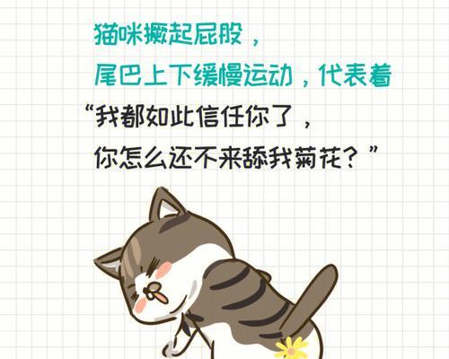 猫咪尾巴的意义详解（揭秘猫咪尾巴的语言，教你读懂猫的情绪）