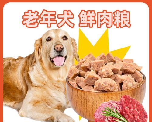 成年金毛狗粮饮食指南（如何科学地喂养成年金毛犬？）