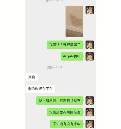 为什么狗狗喜欢啃墙？（探究狗狗啃墙的原因及如何预防）