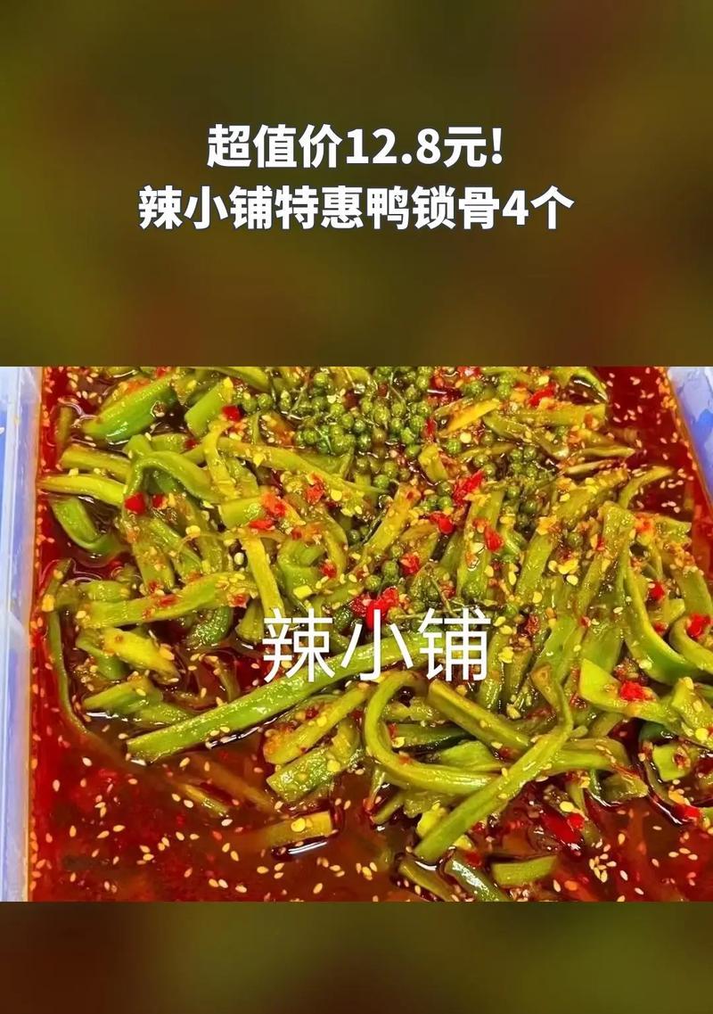 斯科舍诱鸭寻回犬的饲养方法（提高诱鸭和寻回本能的训练技巧）