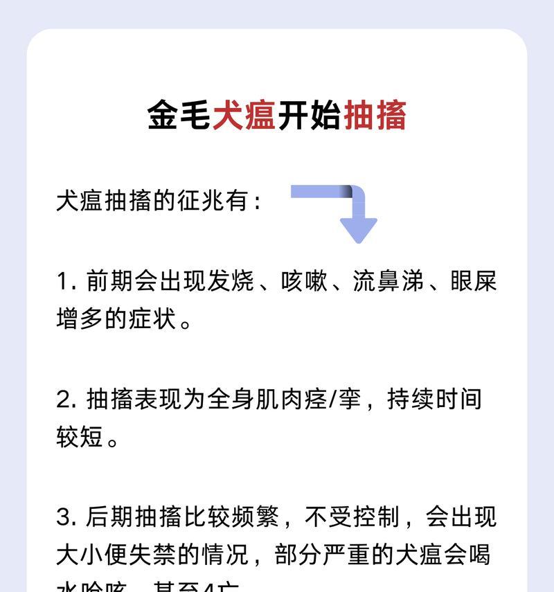 犬瘟热的临床表现（宠物犬的疾病预防和治疗）