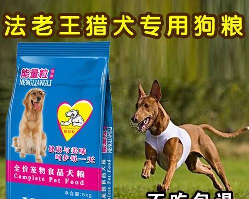 法老王猎犬的饲养方法（了解猎犬的特点，让饲养更加顺畅）