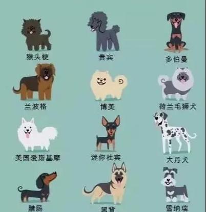 兰伯格犬的饲养方法详解（如何为你的兰伯格犬提供最佳的生活环境？）