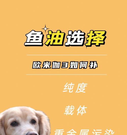 狗狗饮食管理（狗狗一天喂几顿最佳？）