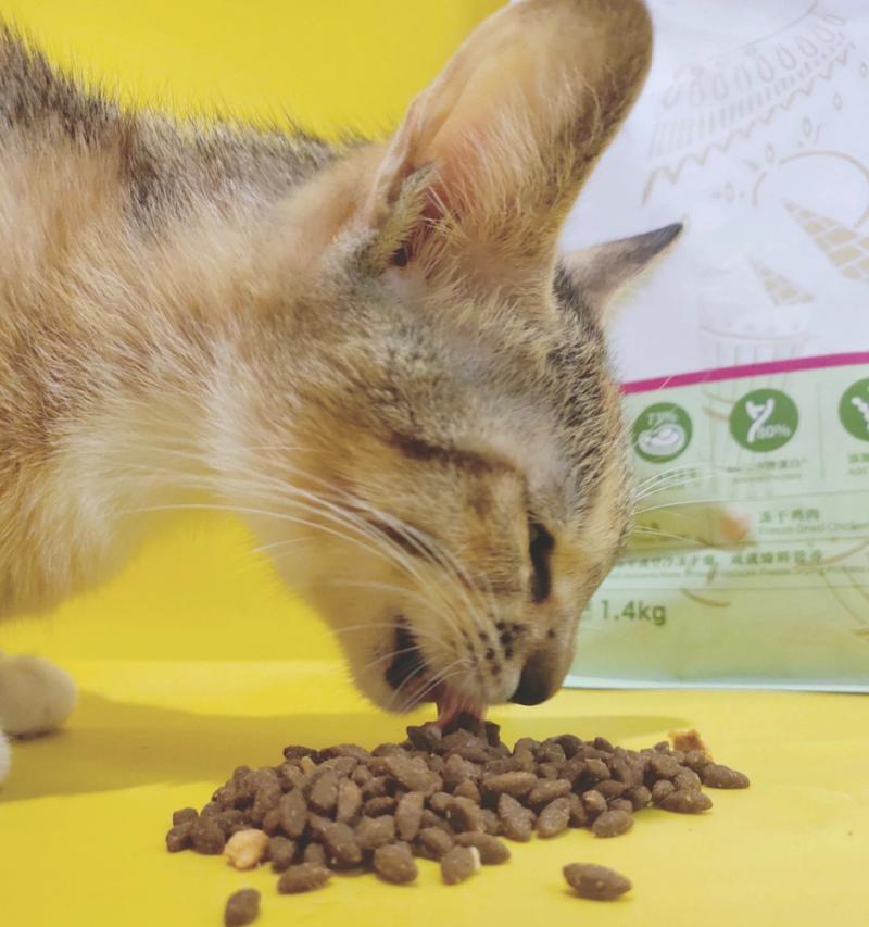 猫咪的饮食（挑食猫咪的福音！了解猫咪的饮食需求与喜好）