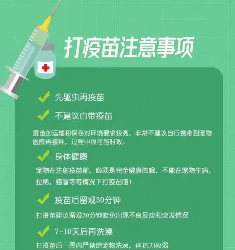 新生小狗的驱虫与疫苗接种时间及重要性（养狗初期必备知识，宠物健康的关键）