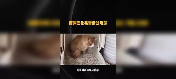 猫咪化毛膏吃多了会怎样？（了解猫咪化毛膏的副作用及应对方法）