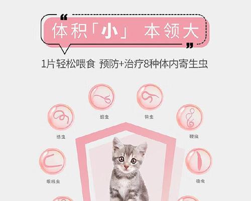 猫咪体内驱虫吃多少？如何有效帮助猫咪驱虫？（掌握适宜的驱虫剂量，保护猫咪健康）