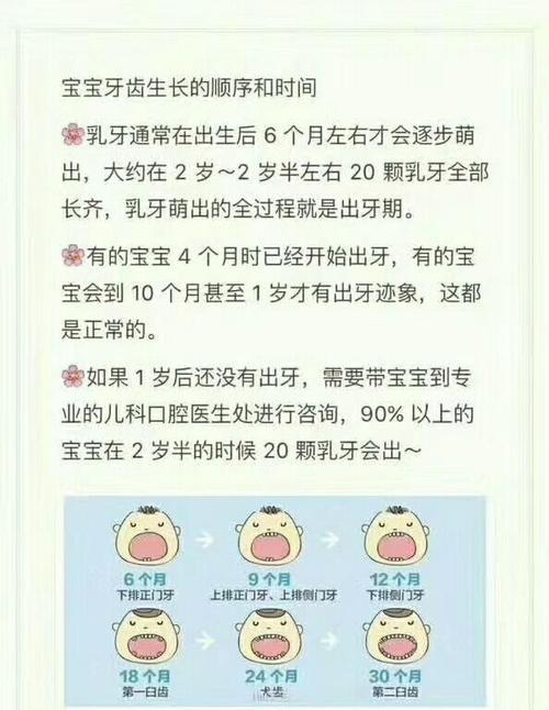 幼犬长牙的时间线与护理指南（关注幼犬牙齿发育，让它们健康成长）