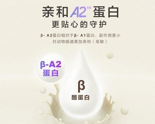 泰迪狗狗每月应摄取的狗粮量（综合蛋白含量等因素确定合理的狗粮份量）