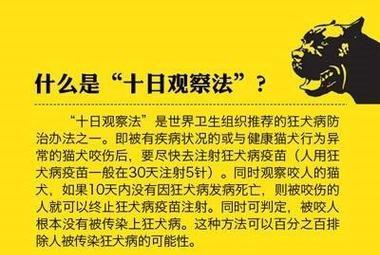 狗狗身上不常见但严重的疾病及其后果（罕见疾病对狗狗健康的威胁与应对措施）