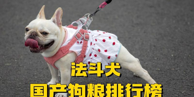 法斗犬的合适饮食频率与狗粮摄入量（科学喂养法斗犬，让它健康快乐成长）