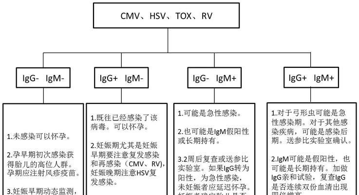 以弓形虫疫苗防治（探讨狗狗疫苗的有效性与靠谱性）