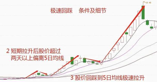 幼犬刚到新家的事项指南（为了幼犬的健康和适应，你需要知道的重要事项）