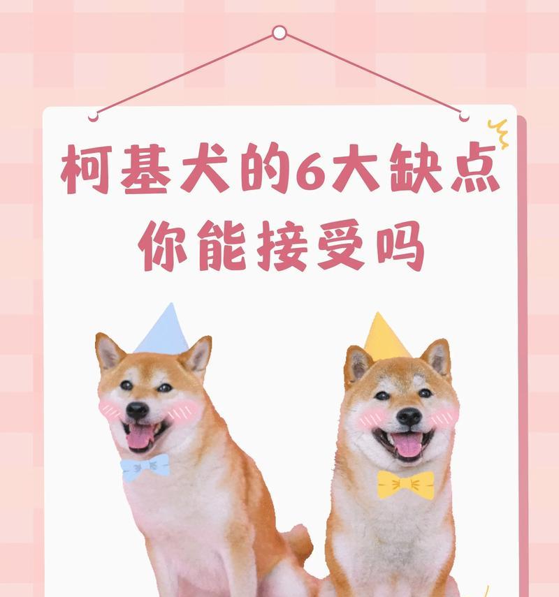 柯基犬为何热爱睡觉？（探究柯基犬爱睡觉的原因及其影响）