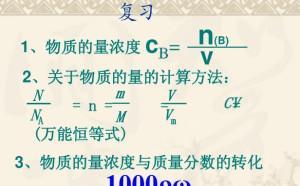 合适的龟类投喂量和计算公式（为龟类提供适当的食物量是关键）