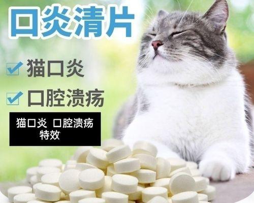 猫咪口腔溃疡的症状、预防和治疗方法详解（了解猫咪口腔溃疡，保护猫咪的口腔健康）