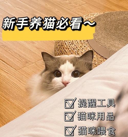 如何合适地喂养猫咪？（科学定量喂食与定时喂食，让宠物健康成长）