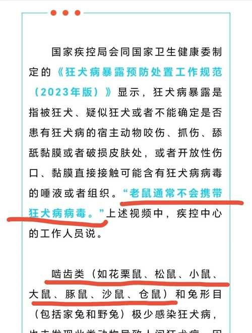 狂犬病的致命危险及预防措施（狂犬病的100%致死率，如何保护自己和家人？）