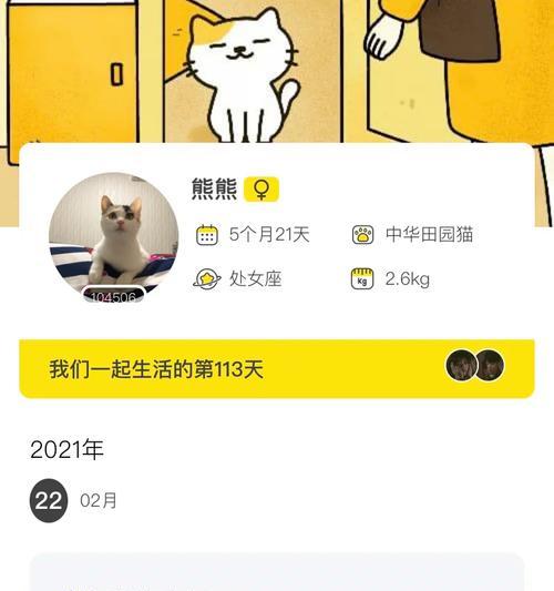 铲屎官必备（让您的猫咪安全又舒适地旅行）