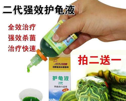 乌龟常见病之腐皮、腐甲怎么办？（解决乌龟腐皮、腐甲问题的有效方法）
