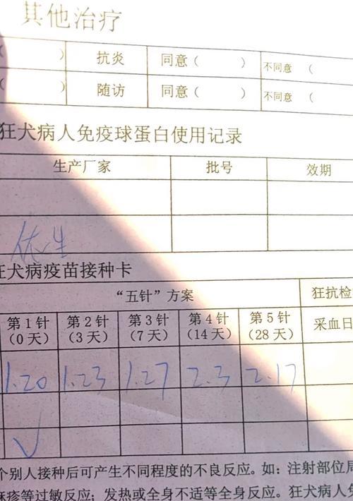养拉布拉多犬，快乐无忧（拉布拉多6大方面饲养全攻略，让你成为优秀主人）
