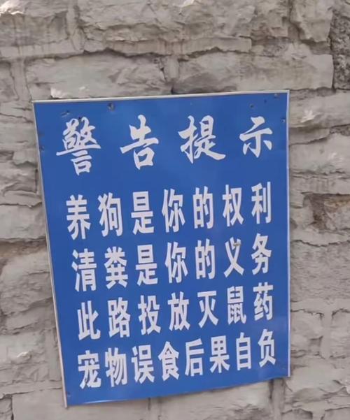 狗狗的主人不在家，它做些什么？（探寻宠物狗狗在主人不在家时的行为和需求）