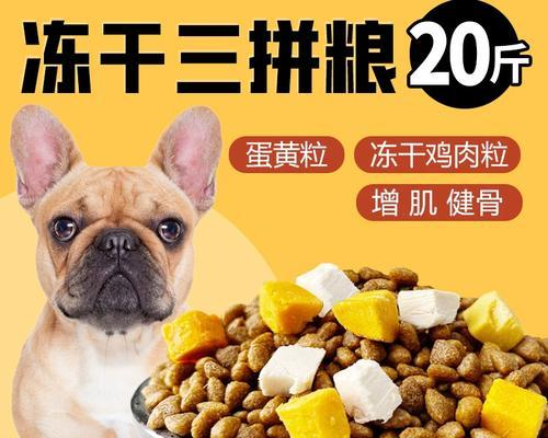 斗牛犬的饮食习惯及蛋黄摄入时机（了解斗牛犬的适宜食用蛋黄的时间和注意事项）