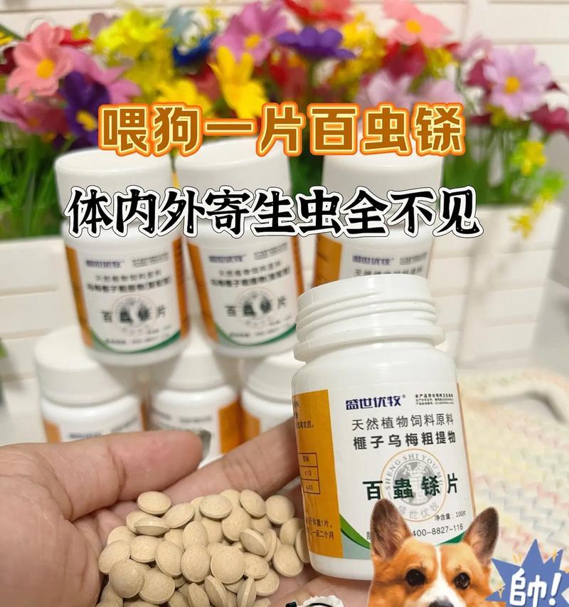 宠物狗狗如何进行有效的驱虫？（了解狗狗的寄生虫问题，合理选择驱虫方法）