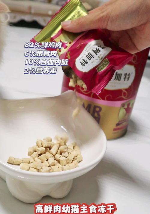 如何为小奶猫选择合适的食物？（小奶猫的饮食需求及健康成长）