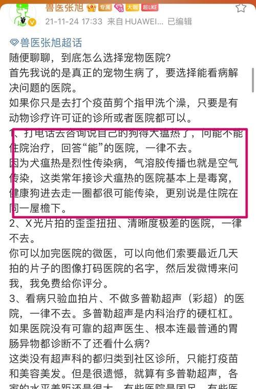 保护动物生命，共建和谐社会（关爱与守护，从善待小狗开始）