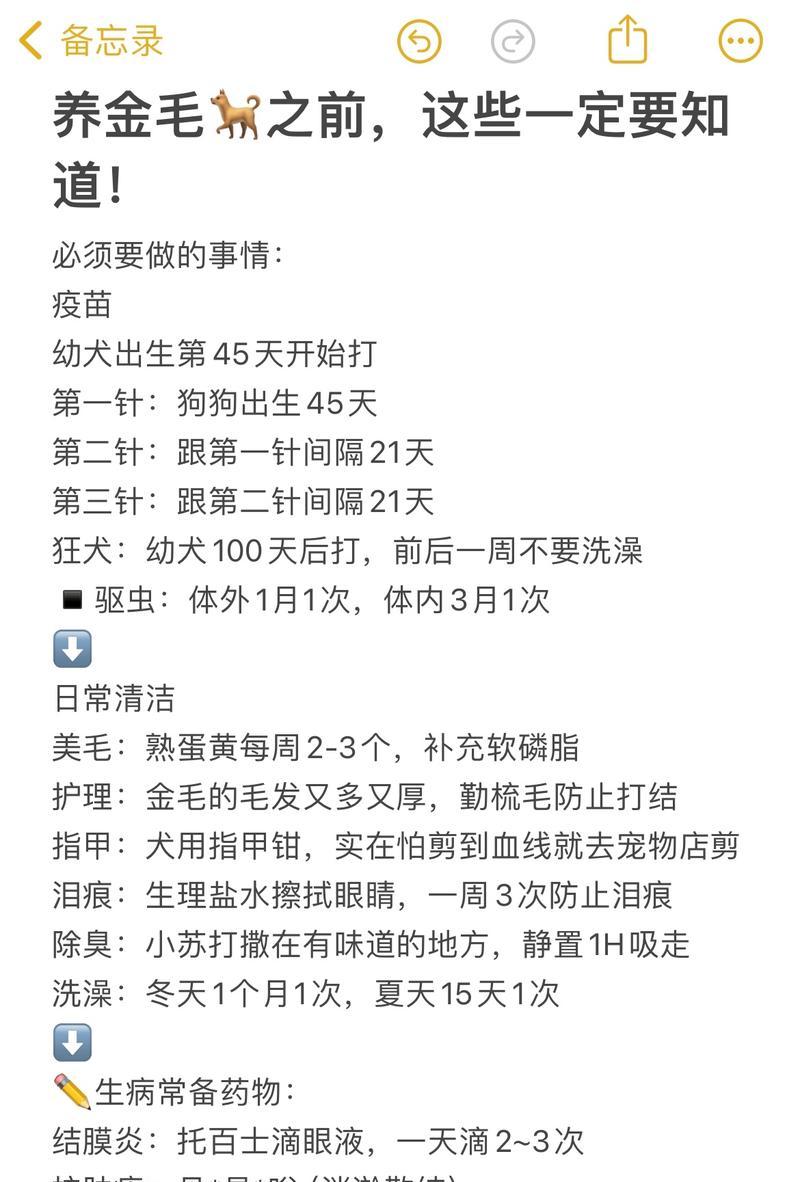 养金毛必备知识大全（打造幸福金毛生活，从准备开始）