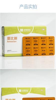 狗鼻子干裂的原因与治疗方法（如何预防狗鼻子干裂？）