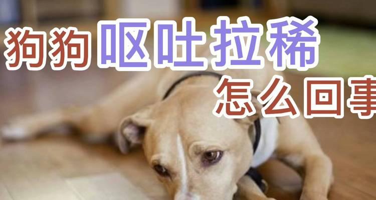 狗狗拉稀呕吐，原因及应对方法（探索狗狗拉稀呕吐的原因与解决办法）