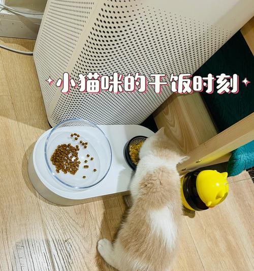 1个月幼猫的饮食指南（幼猫的健康成长全靠好饮食）