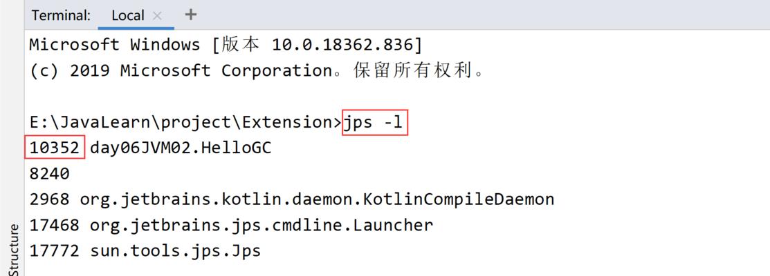 猫圈里的GC意味着什么？（深入探究猫圈中GC的含义和作用）