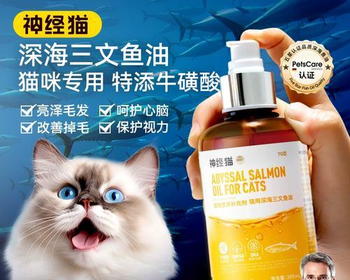 探讨狗的营养需求（为你的狗提供健康的食物选择）