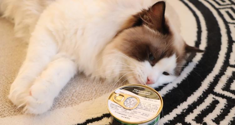 猫咪的理想主食罐头（选择适合你的猫咪的最佳主食罐头）