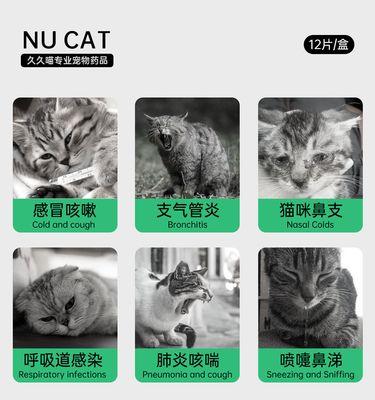 小猫感冒发烧的处理方法（喂什么退烧感冒药对小猫有效？）