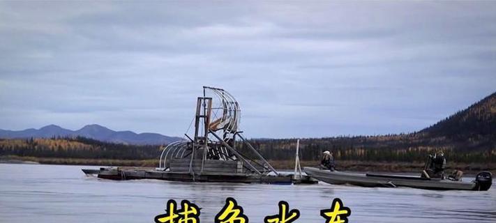 探索阿拉斯加三文鱼的健康益处（发现健康饮食的美味之选——阿拉斯加三文鱼）