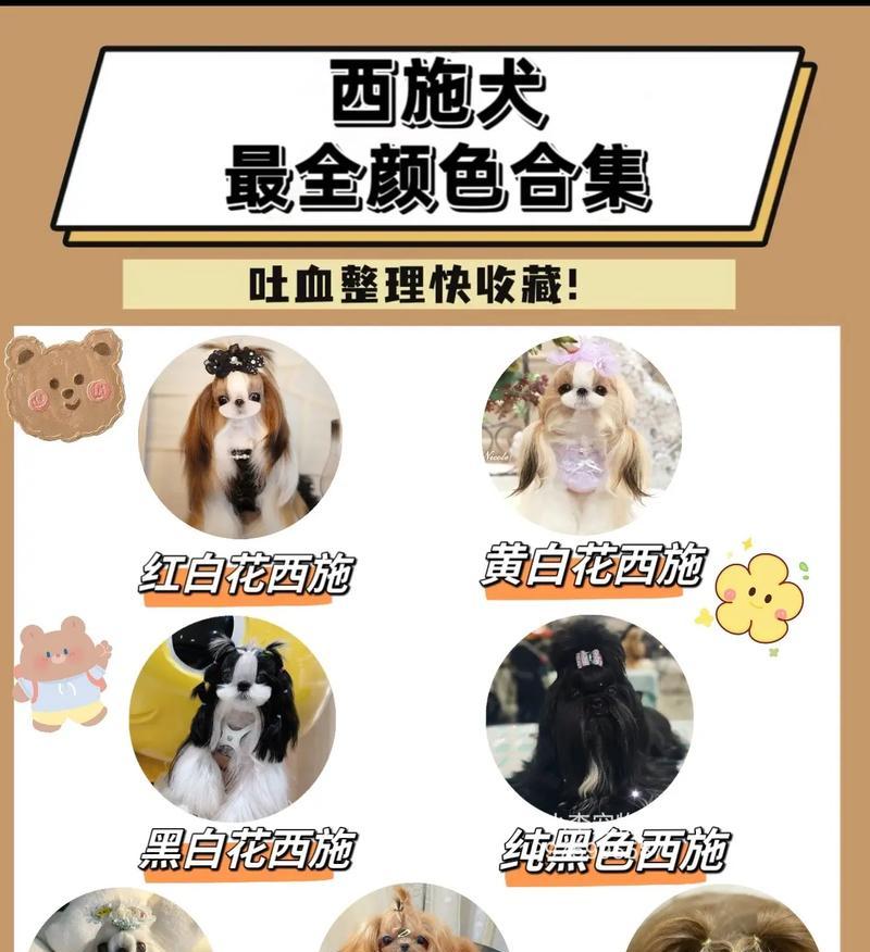霸气无敌！给你的狗狗取个帅气名字（霸气狗名，打造狗狗的王者风范）