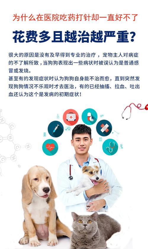 为什么狗狗需要打血清？（了解狗狗打血清的重要性与好处）