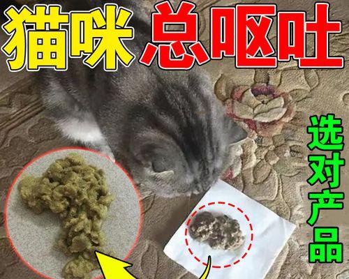 狗狗呕吐黄水并拉稀，该用什么药物治疗？（以狗狗消化道问题为基础的综合治疗方案）