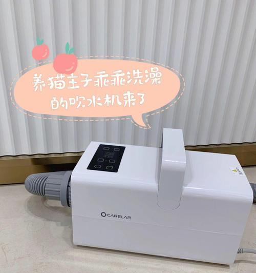 选择合适的吹水机为宠物店带来更好的体验（探索宠物店使用吹水机的关键因素，提供专业的宠物洗浴服务）