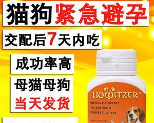 猫咪避孕药的选择与使用（科学选择适合猫咪的避孕药，为它们的健康保驾护航）